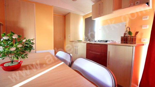 albesa 730x300 05